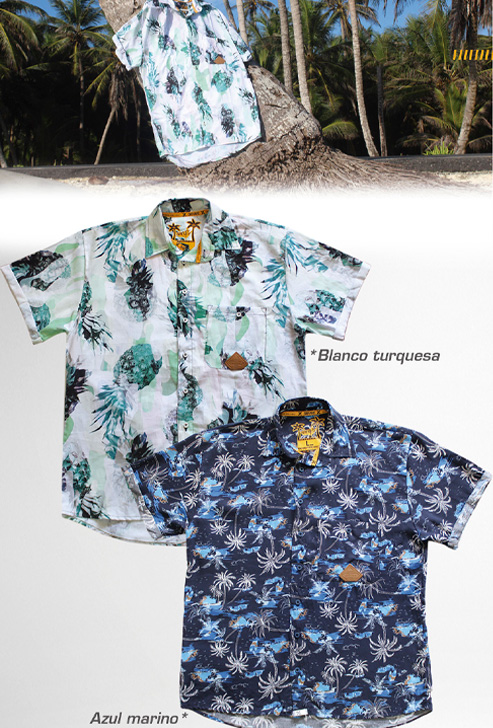 CATALOGO DKY 025